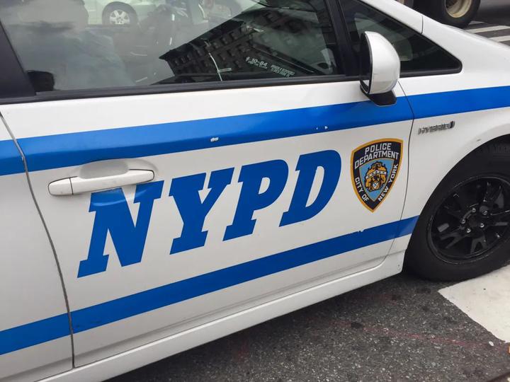 nypd警车.