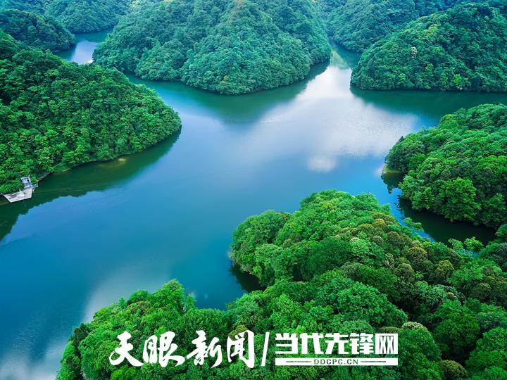 绥阳县宽阔水国家级自然保护区.王忠枢 摄.jpg