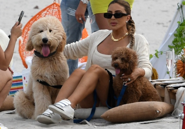 皮蓬前妻拉尔萨晒最新靓照!