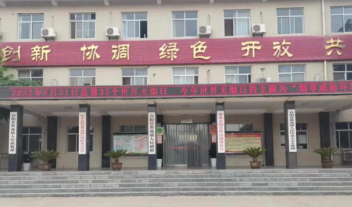 陕西世界无烟日合阳县黑池镇在行动