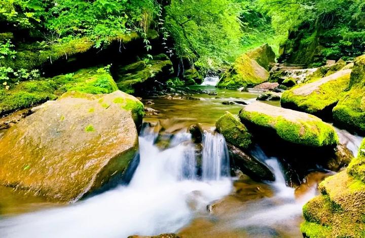 山水绿道红色征程人间秘境宁夏固原三日游攻略让你的端午假期性价比
