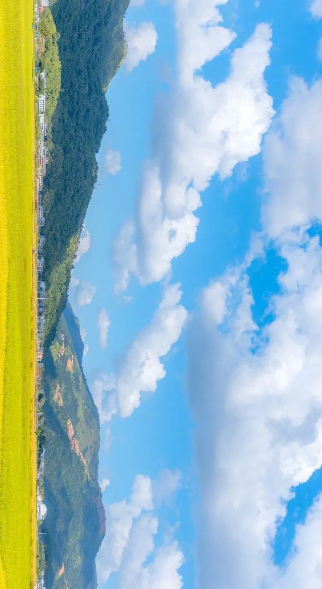 蓝天白云远山田野,像极了动漫里的秋天_塔斯马尼亚_新闻_华人头条