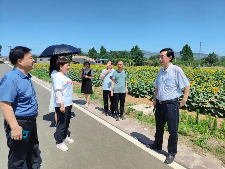 【河南新密】助力乡村振兴,采风美丽米村(三)_新加坡_新闻_华人头条