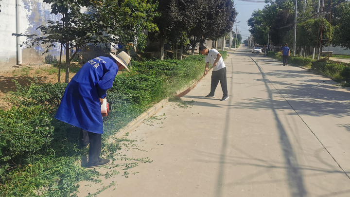 陕西合阳:黑池镇 创新工作方式 让人居环境"美"起来_阿根廷_新闻_华人