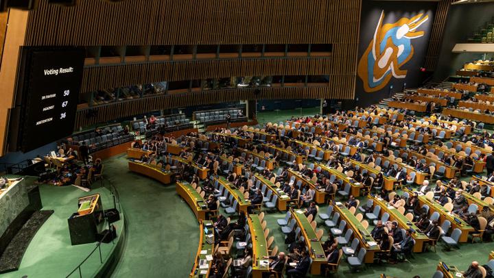 联合国会议厅图片