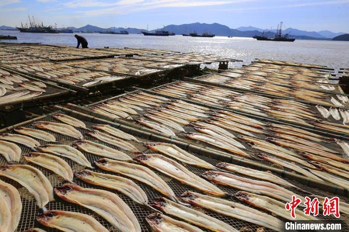 浙江象山:渔嫂秋日晒鱼鲞 勾勒别样渔家文化_南岛_新闻_华人头条