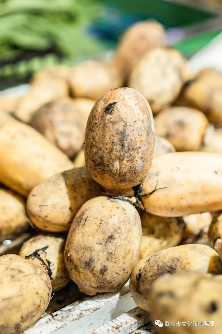 最新十孔粉藕来了,武汉人吃藕新高度_加纳_新闻_华人头条