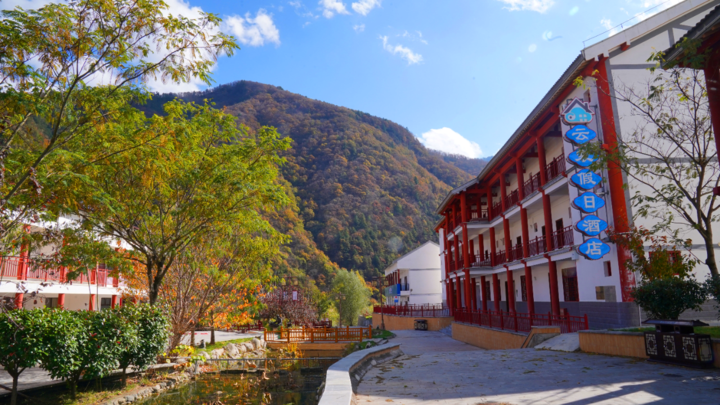 陕西太白:黄柏塬镇 壮大旅游集体经济 创新模式实现共赢_湖北_新闻