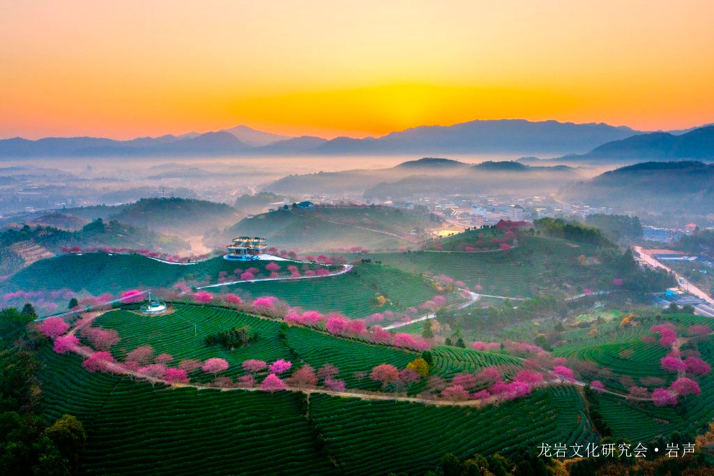 龙岩直隶州漳平县首任知县傅维祖_阿尔及利亚_新闻_华人头条