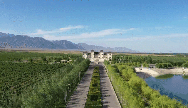 收藏这份贺兰山东麓酒庄游攻略,出发吧!_南非_新闻_华人头条