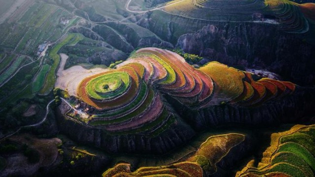 陕西定边:巩固拓展脱贫攻坚成果同乡村振兴有效衔接擘画新图景_奥地利