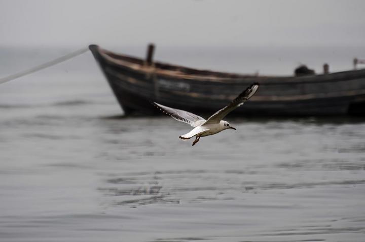 "海峡两岸好文章"一等奖作品为何选题乡愁曲?_蒙古_新闻_华人头条