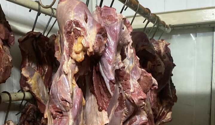 Diario HOY | Carnicerías en Luque intervenidas por vender carne de caballo como vacuna