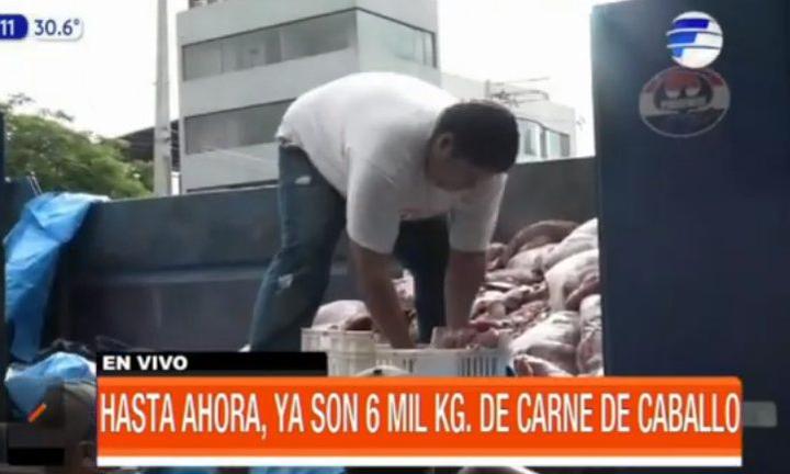 Carnicerías de Luque vendían carne de caballo | Telefuturo