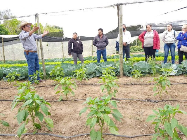 La Nación / Productores de Itapúa piden vender a los súper sin intermediarios