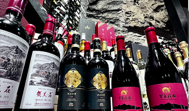 塞上江南碰杯江南水乡 宁夏贺兰山东麓葡萄酒浓郁两"江南"_中国大陆