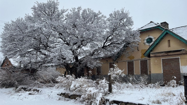 吉林龙井开山屯镇激发乡村旅游活力打造边境文旅目的地