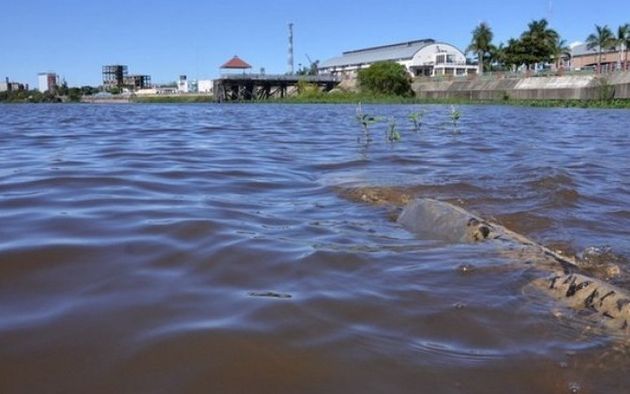 Las lluvias no paran y el Río Paraguay ya superó la línea de evacuación en Formosa