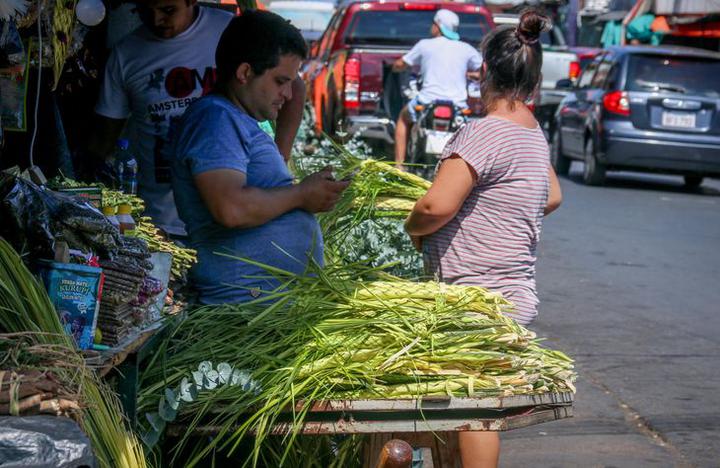 La venta de hojas de pindó marca el inicio de la Semana Santa en Paraguay