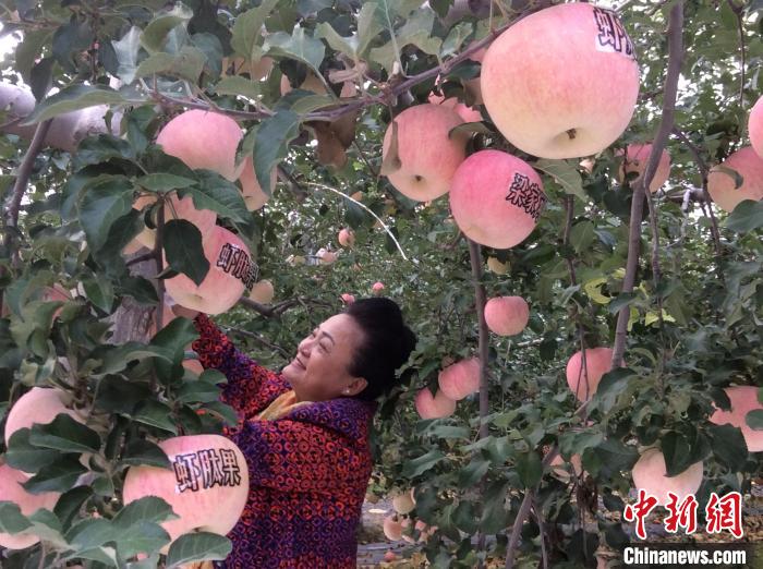 亚洲最大捕食螨商品化生产基地落户福建闽侯