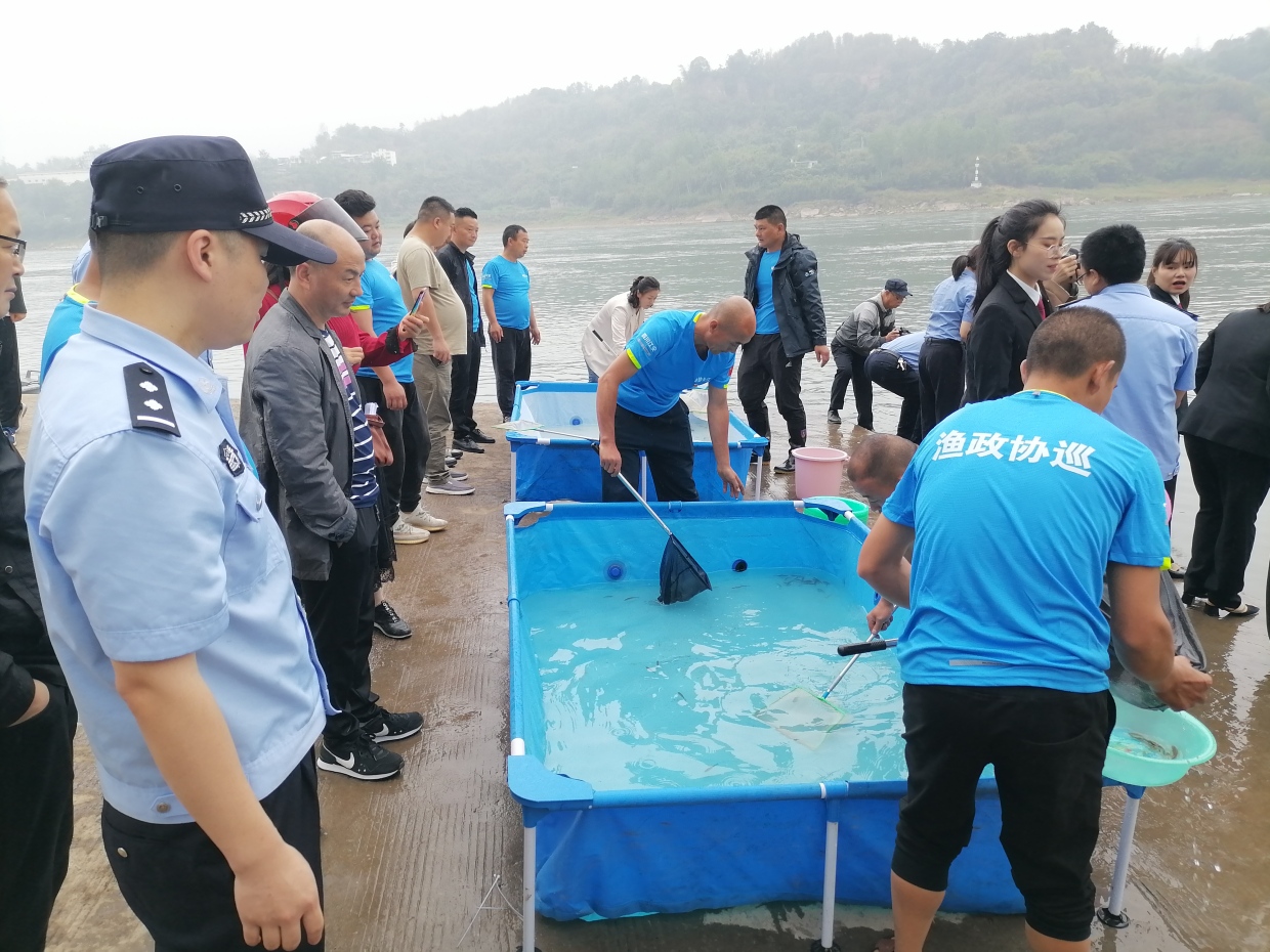 保护长江生物多样性 长航公安泸州分局在行动