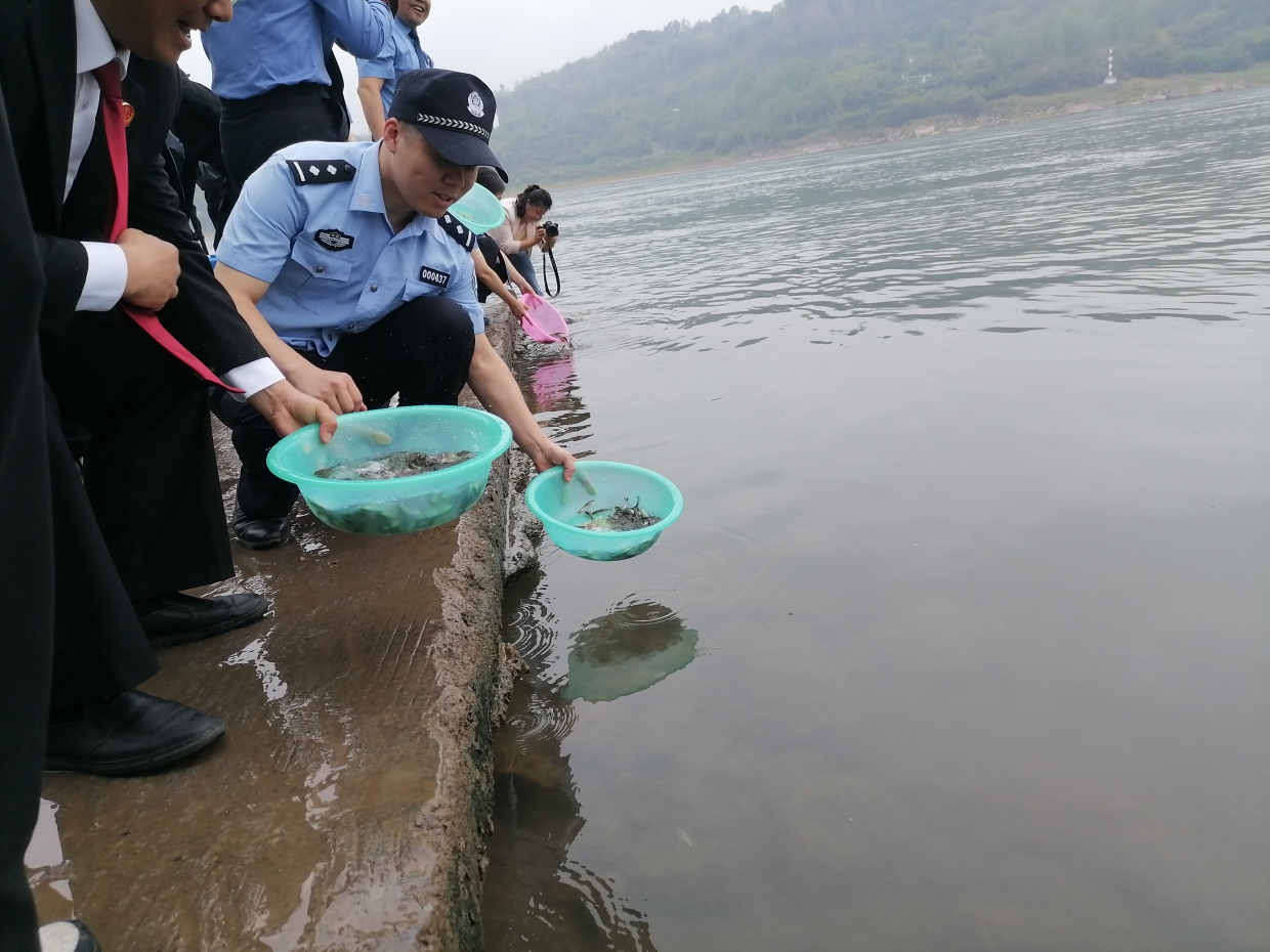 保护长江生物多样性 长航公安泸州分局在行动