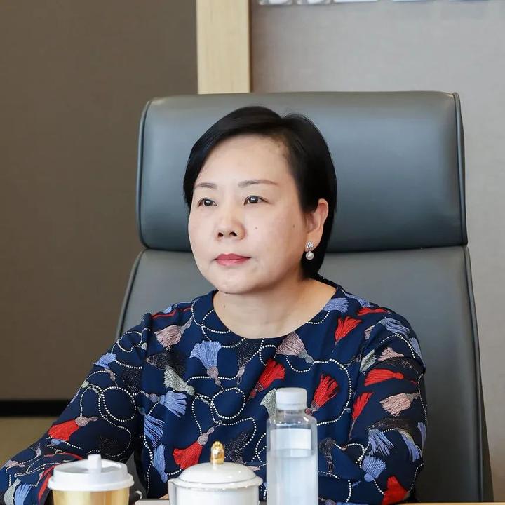 盈科杨琳主任表示,盈科是联合国南南合作全球智库网络联合创始机构