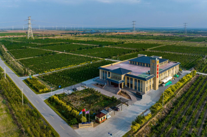 跟着"县"路游宁夏,在青铜峡感受黄河文化的魅力,找寻诗意田园的幸福