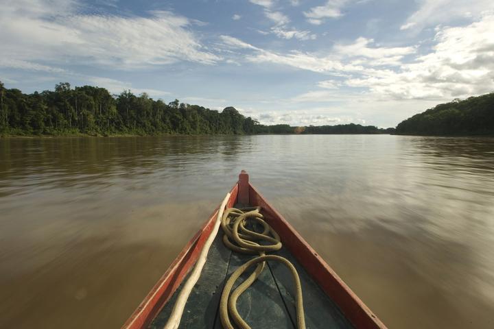 秘鲁玛努国家公园_中国大陆_新闻_华人头条