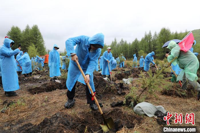 图为十余省(自治区、直辖市)的400多名游客为内蒙古大兴安岭植绿。张淳源 摄