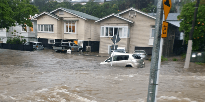 How to help those impacted by the Auckland floods