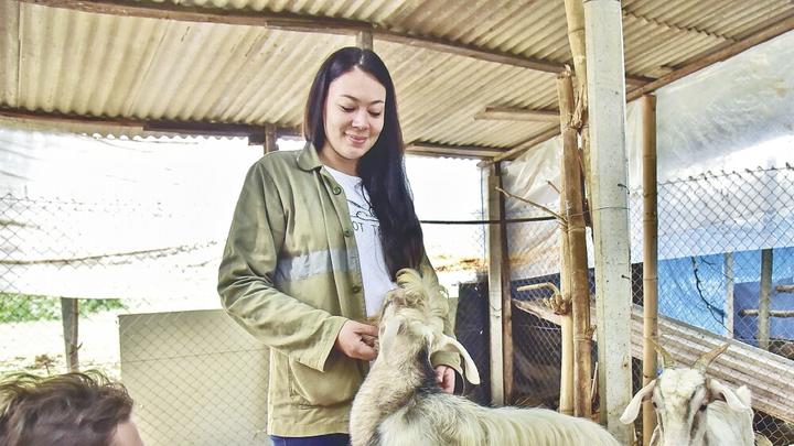Funcionarios crean un refugio de animales en Costanera asuncena - Última  Hora | Noticias de Paraguay y el mundo, las 24 horas. Noticias nacionales e  internacionales, deportes, política. Noticias de último momento.
