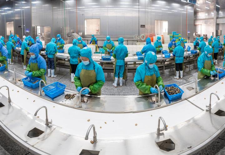 2023年2月17日，兆华水产的员工在生产线上处理鲍鱼。林双伟 摄