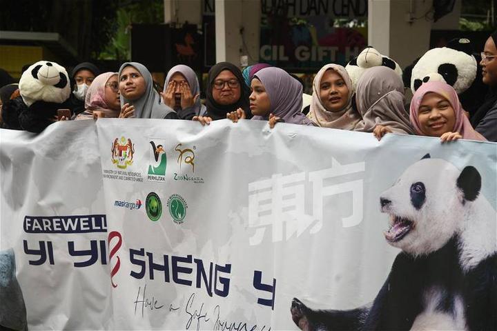 “谊谊”和“升谊”今午离马 数百民众在动物园外欢送_马来西亚_新闻_华人头条