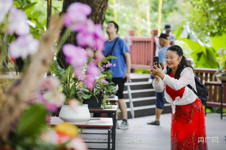 福建福州:兰花绽放引客来_全球_新闻_华人头条