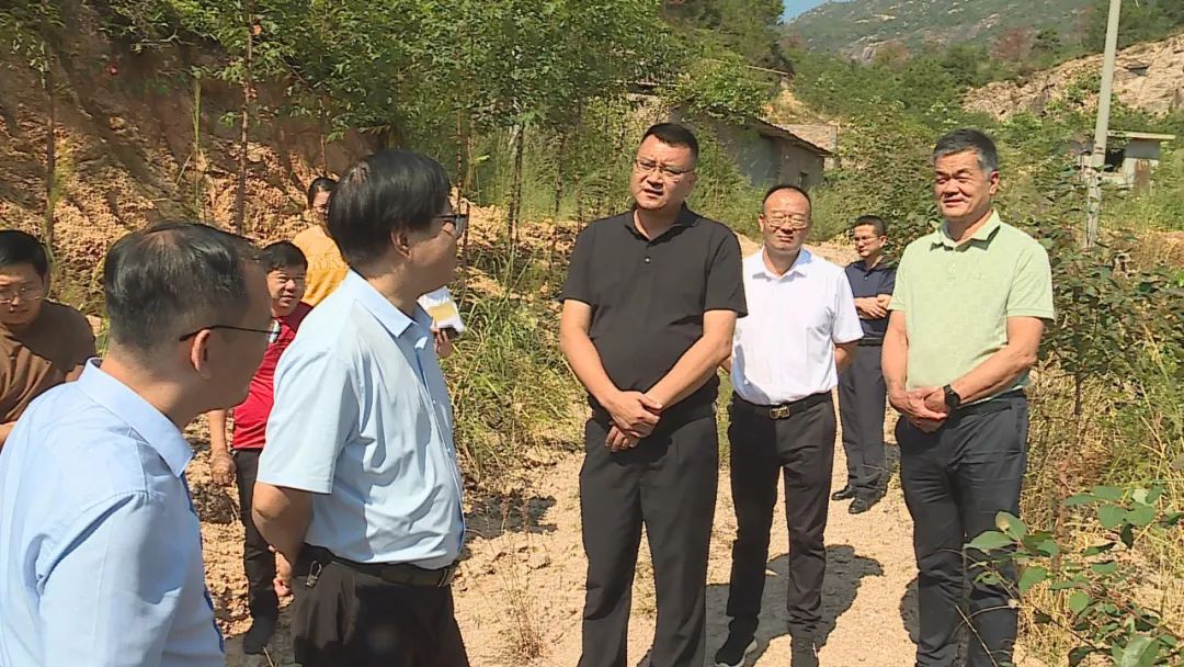 仙游县领导开展"四下基层"暨督导生态,民生领域有关工作_悉尼_新闻