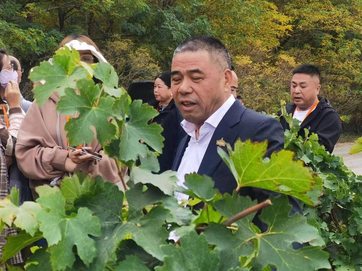 行活动来到贺兰神(宁夏)国际葡萄酒庄有限公司,见到了陈德启董事长,他