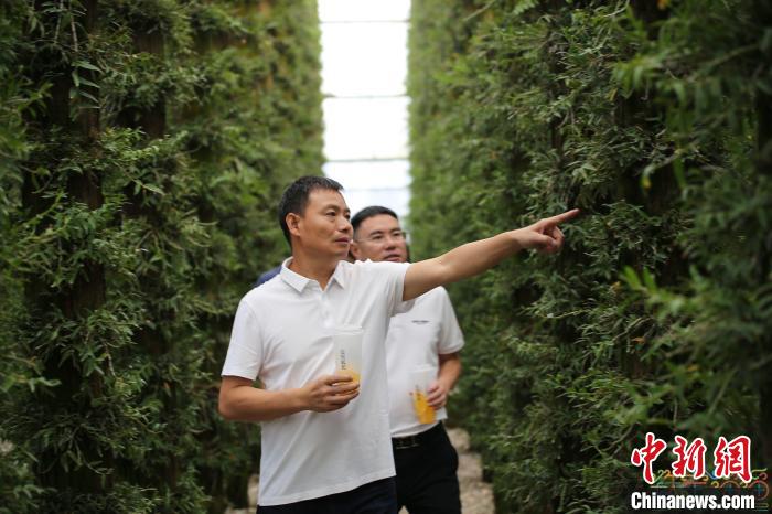 “铁定”之心助共富 浙江“最美乡贤”延伸“美丽”产业链_南非_新闻_华人头条