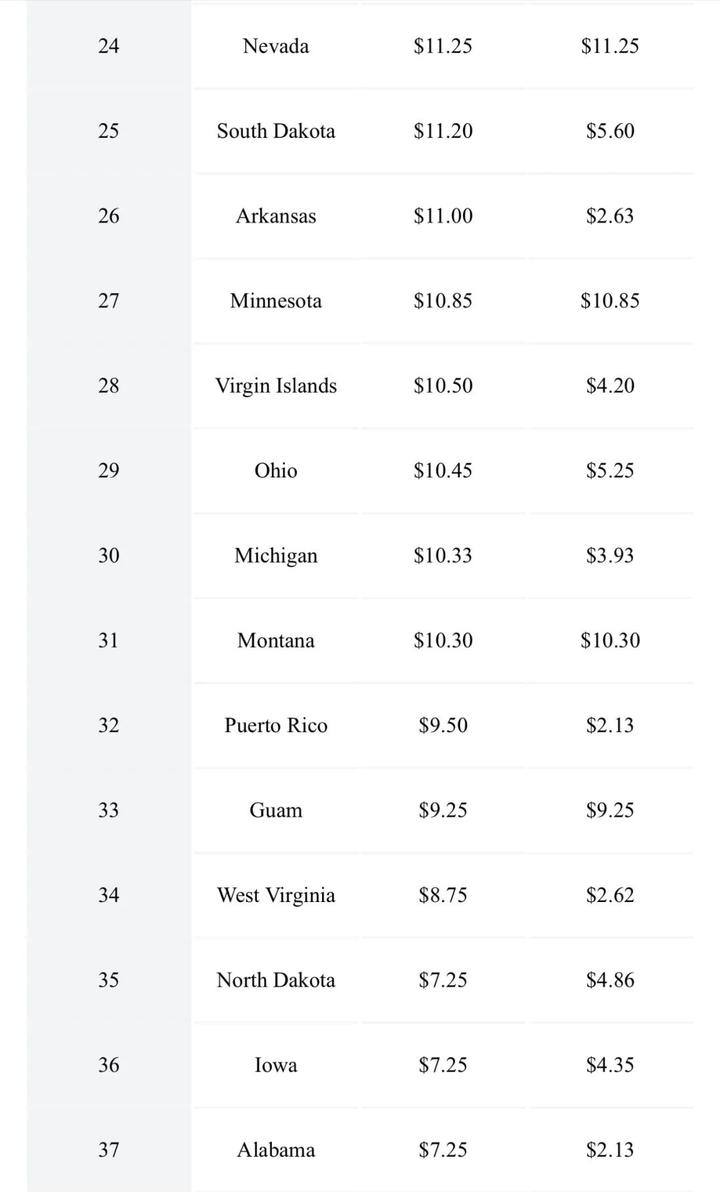 2024美国各州最低工资排名联邦最低工资$7.25/小时14年没涨□遇寒流暖气开到500摄氏度南卡夫妻被活活“烤”死_南非_新闻_华人头条