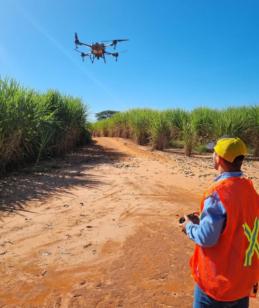 Piloto Adrien Michelmann realiza uma demonstração de condução de drone agrícola. Neste momento, ele não estava realizando uma aplicação de agrotóxicos, que requer equipamentos de proteção; — Foto: Arquivo pessoal