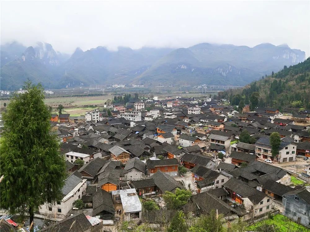 云舍,贵州的世外桃源_南非_新闻_华人头条