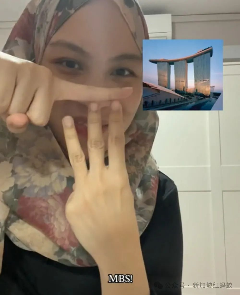 酷玩”演唱会让手语通译爆红新加坡手语可能成为第五官方语言？_Россия_新闻_华人头条