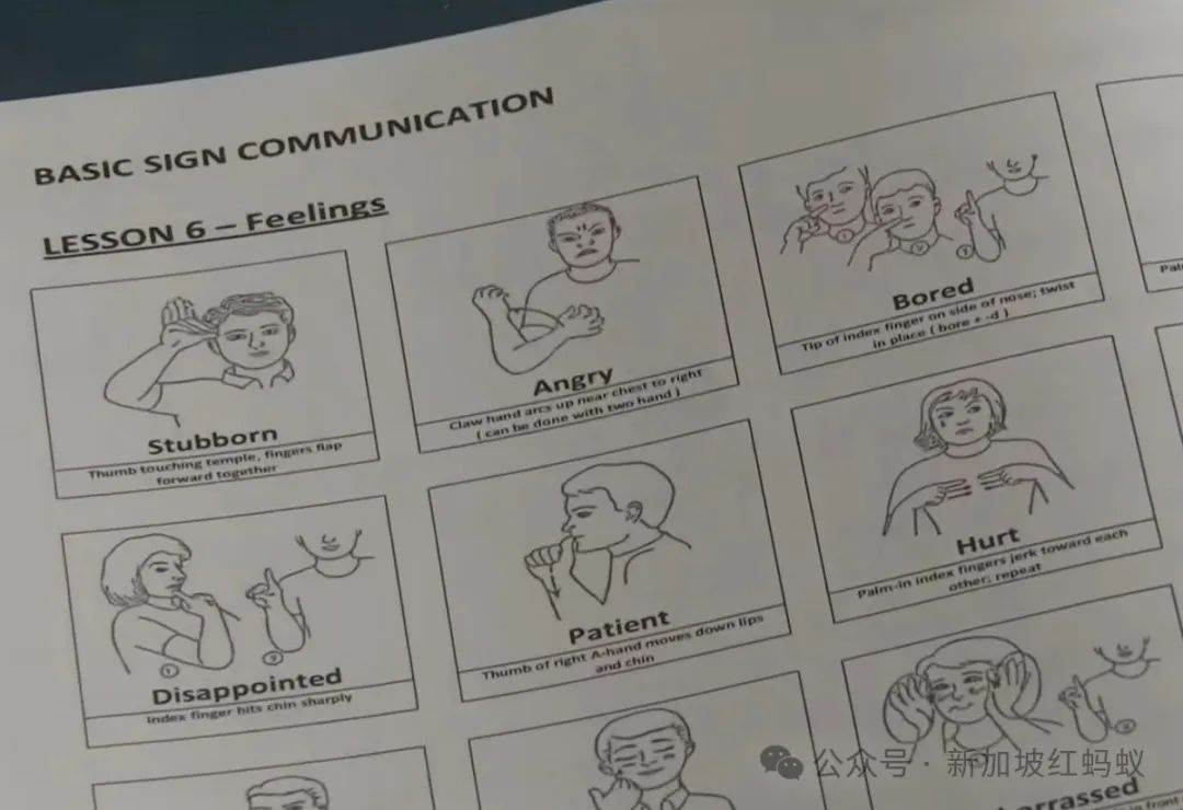 酷玩”演唱会让手语通译爆红新加坡手语可能成为第五官方语言？_Россия_新闻_华人头条