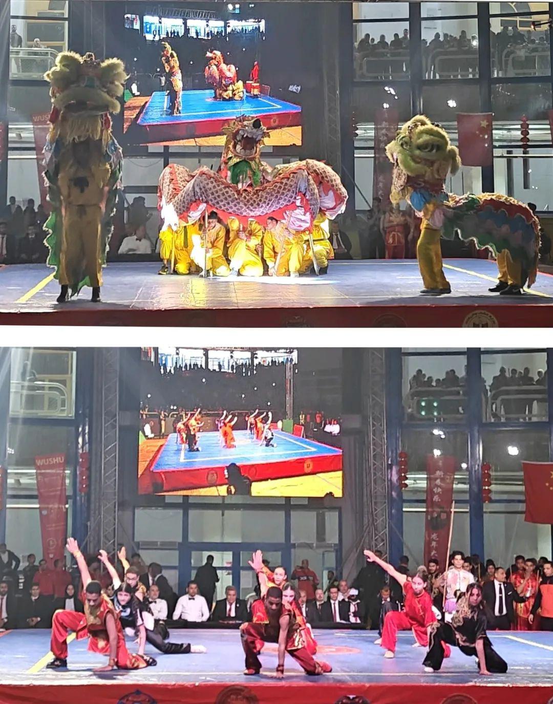 廖力强大使出席“欢乐春节”埃及全国武术锦标赛_阿根廷_新闻_华人头条