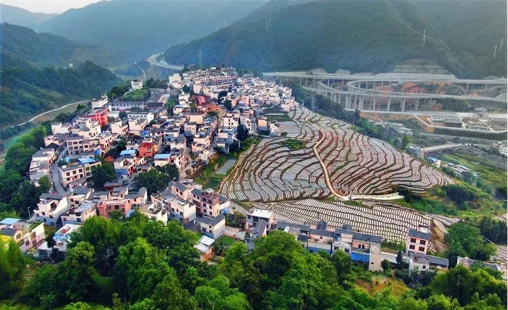 在贵州的群山之间,隐藏着一个小巧而精致的村落——望谟县新屯村.