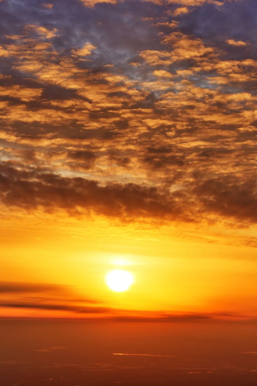 这60张图是你来泰山的理由_南非_新闻_华人头条