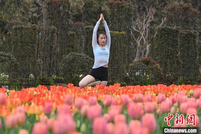 第十六届湖南世界名花生态文化节开幕 游人踏春赏花