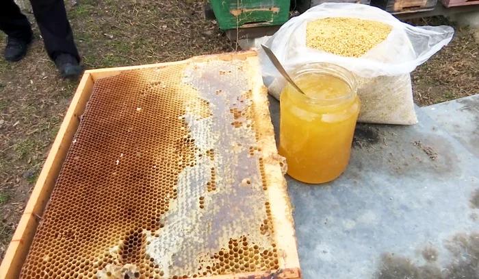 罗马尼亚蜂蜜在打击进口的斗争中正在节节败退。消息来源 I. Bunilă