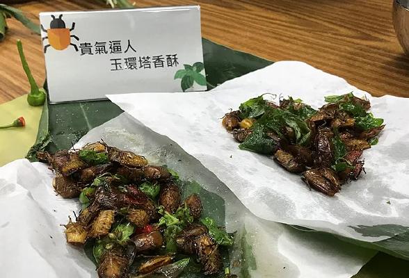 吃不完，根本吃不完……民进党当局“号召食谱”再添一道_中国台湾_新闻_华人头条