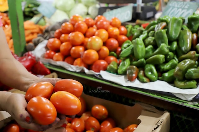 Desde el MAG señalan que el tomate se comercializará a G. 12.000 el kilo en la feria de la agricultura familiar que se desarrolla este jueves en la Costanera. Foto: Archivo
